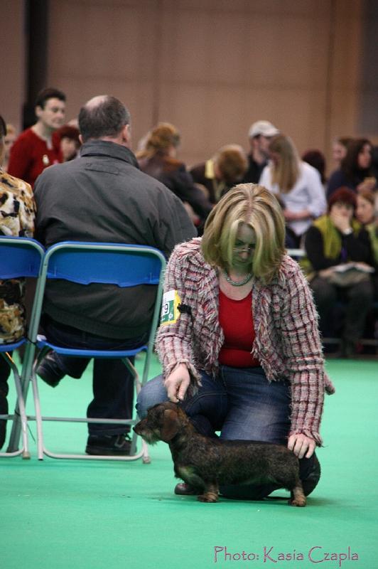 Crufts2011_2 1095.jpg